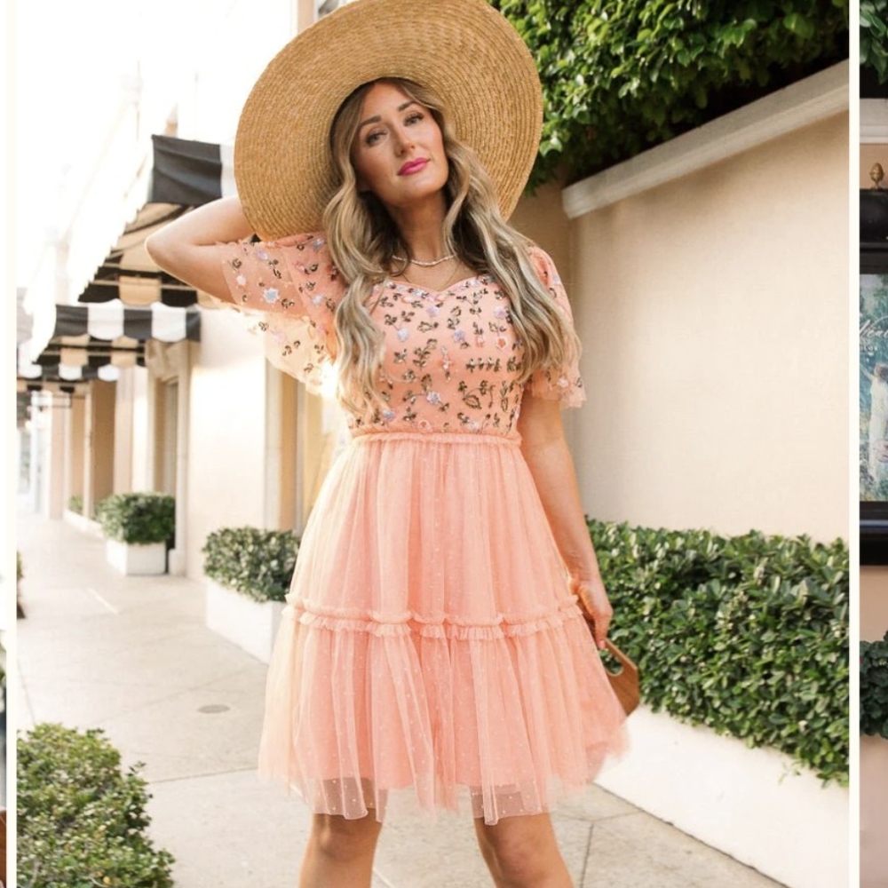 NWT Ivy City Co Milan Dress